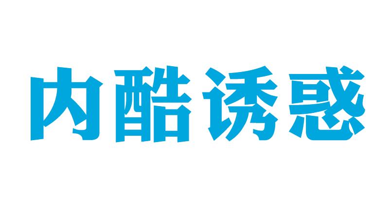 内酷诱惑25类