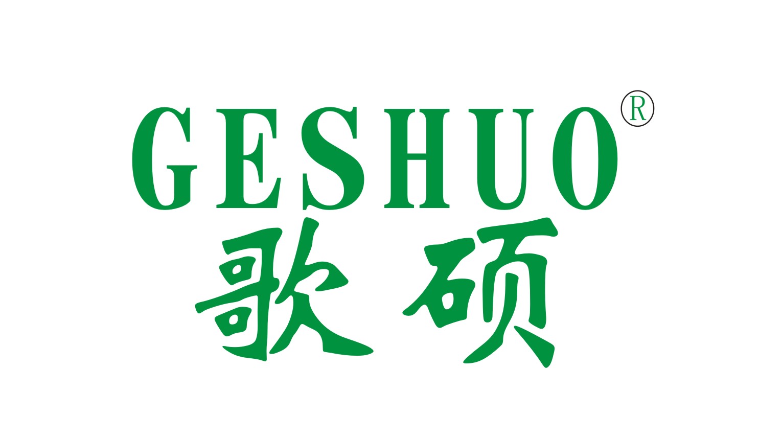 歌碩+GESHUO6類