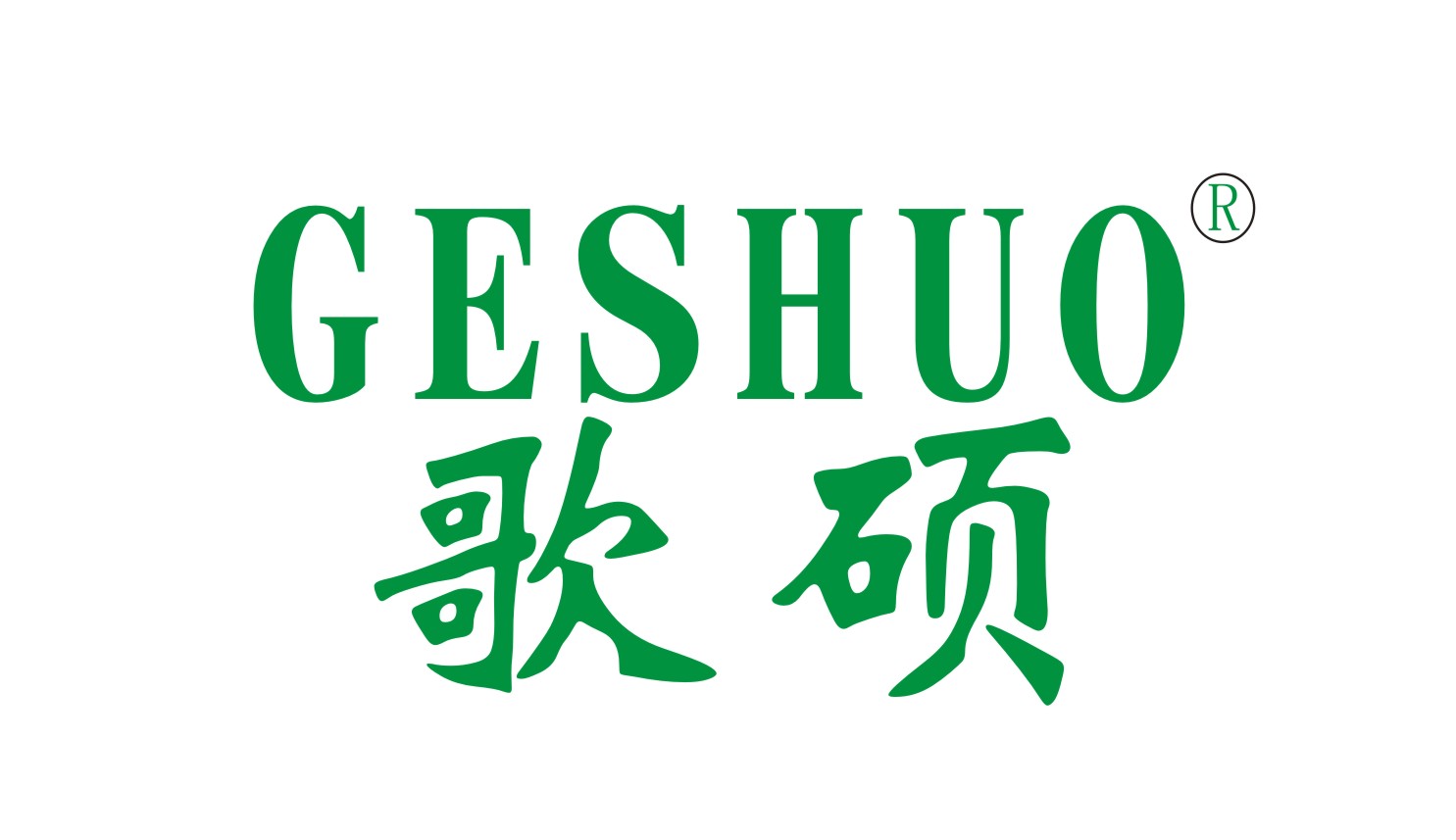 歌硕+GESHUO6类